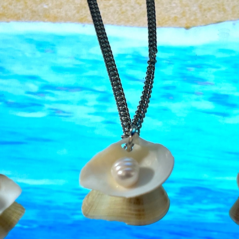 Freshwater Pearl In shell necklace on silver chain